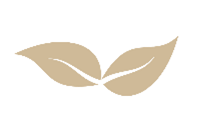 book logo